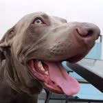 Federico Lerma - @lerma717273747 - Instagram
