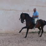 Federico Lerma Gómez - @federico.l.gomez.1 - Instagram