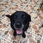 Federico Lozada M - @fede_lozada - Instagram