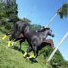Federico Maciel317 - @federicomaciel317 - TikTok
