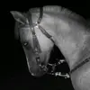 Federico Maciel 123 - @federicoomaciel143 - TikTok
