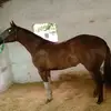 user7441942223358 - @federicomaciel4 - TikTok