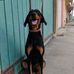 Federico Moreno - Facebook