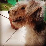 Federico Ocampo - @ocampo1161 - Instagram