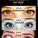 Federico Saenz - @sfederico - Instagram