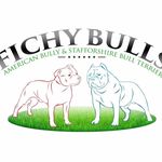 Federico Saenz Hernandez - @fichy_bulls - Instagram