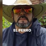 Federico Tavarez - @69freddylobo - Instagram