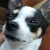 Federico Teran lopez - @federico.teran.lo - TikTok