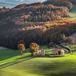 Chong Saw Fee - @chongsawfee - Instagram