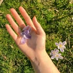 Fei Duan - @fei.duan.10 - Instagram