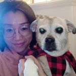 Fei Duan - @ffeid - Instagram