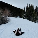 Felicia Collins - @flynn_co.14 - Instagram