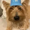 Felicia Combs841 - @feliciacombs2 - TikTok