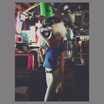 Felicia Floyd - @tarugxieb40 - Instagram