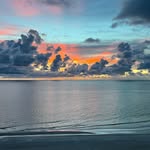 Felicia Shepherd - @clearwater_foodie - Instagram
