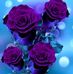 Felecia Wright - Facebook