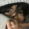 펠릭스 귀염둥이✿ - @felicechan16 - TikTok
