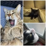 Felice Mitchell - @felicemitchell11 - Instagram