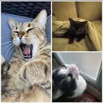 Felice Mitchell - @felicemitchell12 - Instagram