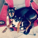 Felice Morris - @jack_n_pj - Instagram