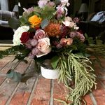 Felicia Cates - @fdcates - Instagram