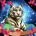 Felicia Chase - Facebook