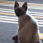 Feliciana Dos Santos Coboski - @felicia_coboski0404 - Instagram