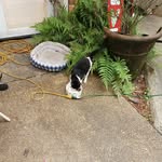 Felicia Tweet Early - @_felicia.454 - Instagram