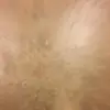 Felicia Persson fp😻😭❤️ - @felicia.persson.fp - TikTok