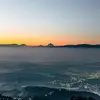 Felicia Herrera - @felicia.herrera51 - TikTok