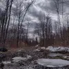Feliciajackeblues666 - @blake_jackblues_6 - TikTok