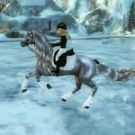 Felicia L. ~ lvl 18 ~ 7 horses - @felicia_lightningwatcher - Instagram