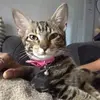 Felicia Nathan - @felicia.nathan - TikTok