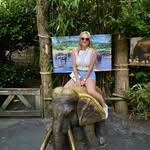 @feliciaroeters - Instagram