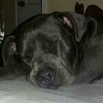 Felicia Singleton - @feliciapaige92 - Instagram