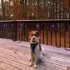 Felicia Willis - @byewillis - TikTok