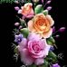 Felicita Gonzalez - Facebook