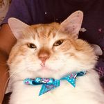 Felicita Ramos - @flacocat - Instagram
