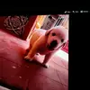 Felicita Velez - @felicitavelez - TikTok