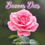 Lisa.   Soto - @velez_felicita - Instagram