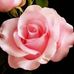 Felicitas Ortiz - Facebook