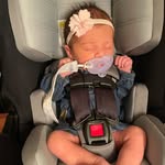 Felicity Anjelica- Rowan Alexander - @felicityandrowan - Instagram