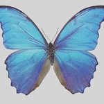 Felicity Brown - @felicity.brown.777 - Instagram