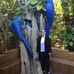 Felicity Brown - Facebook