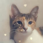felicity - @felicity_fields7708 - Instagram