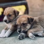 Felicity Selene Fields - @someonefromanotherplanet_ - Instagram