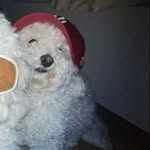 Felicity - @felicity_gray2005 - Instagram
