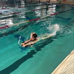 @felicity_hahn2024 - Instagram