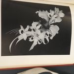 Felicity Hall - @thingyness - Instagram