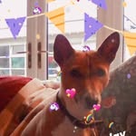 Felicity Hooper - @felicity.hooper.71 - Instagram
